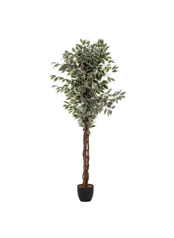 Atmosphera Easy Maintenance Realistic Looking Artificial Ficus Plant with Pot Green and Brown 180 cm 110341A